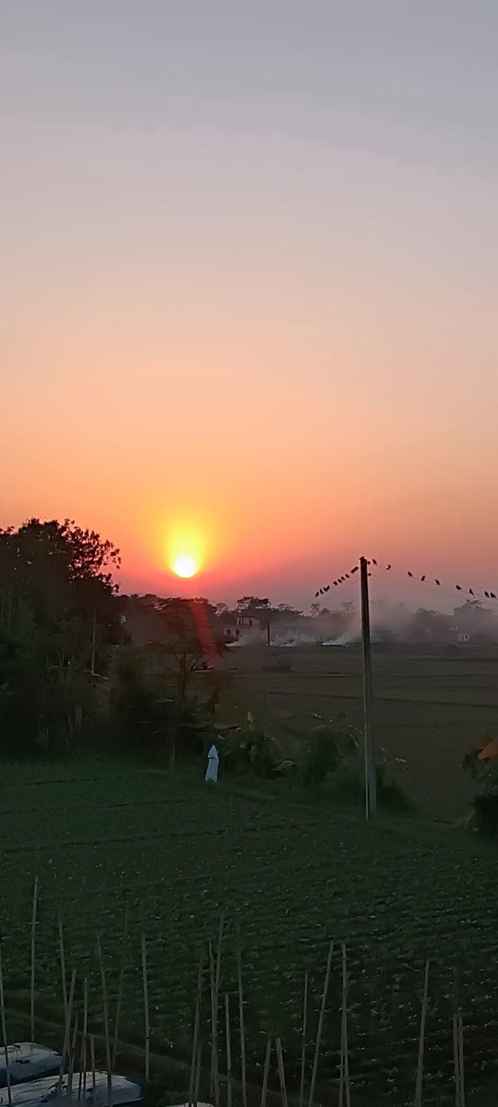 Image of 14 Nights Homestay Yoga Retreat in Chitwan Nepal